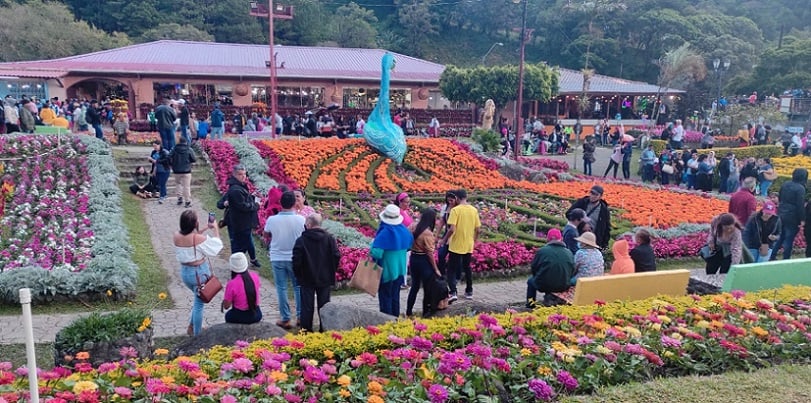 Para este 2023, la Feria de Las Flores y Del Café, cumple 50 años.