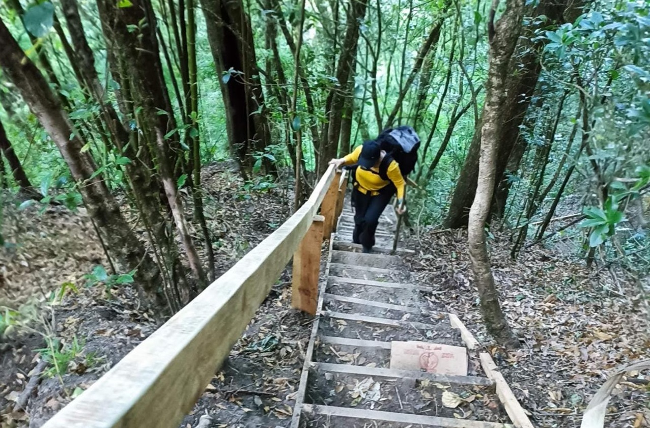 Los trabajos incluyen instalación de pasamanos, escaleras, puentes peatonales, señalización interpretativa y de orientación, entre otros