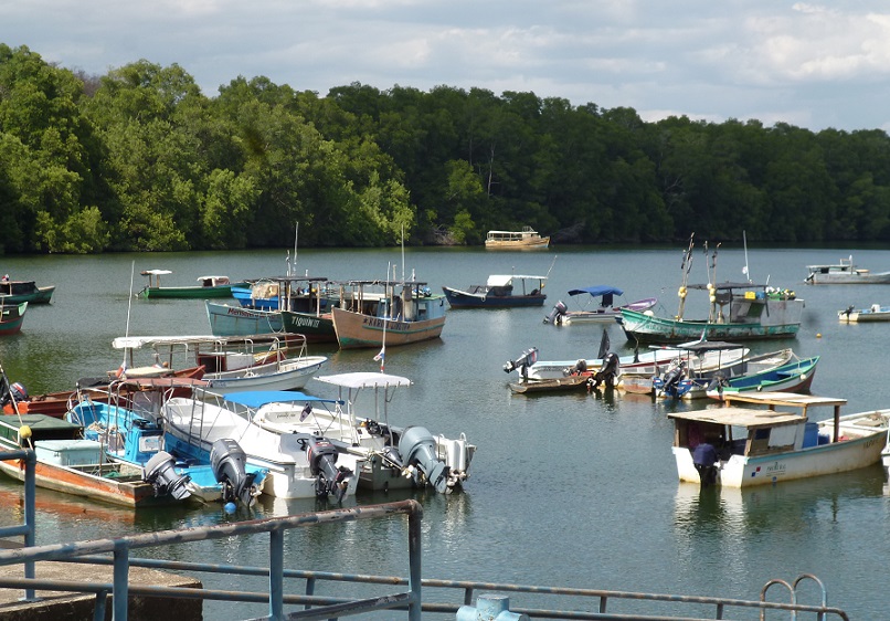 La ley a criterio de los pescadores artesanales o de sobrevivencia, es nefasta  para ellos.