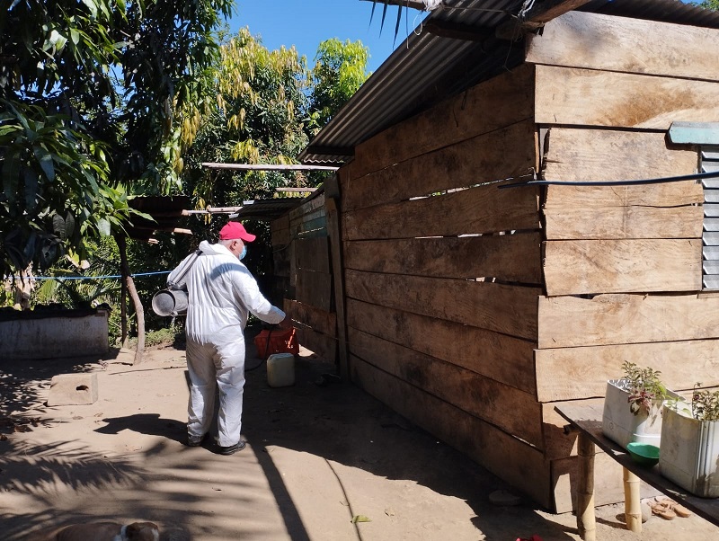 El mosquito anofeles, transmisor de la malaria, pica en horas de la tarde.