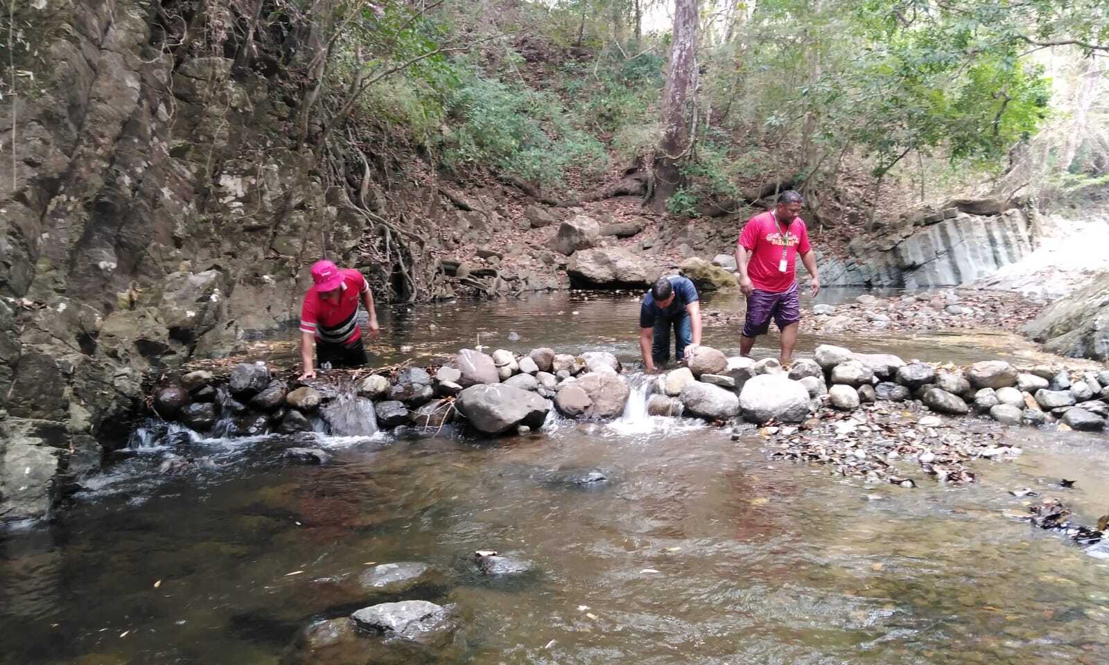 La semana pasada destruyeron varias mini represas.
