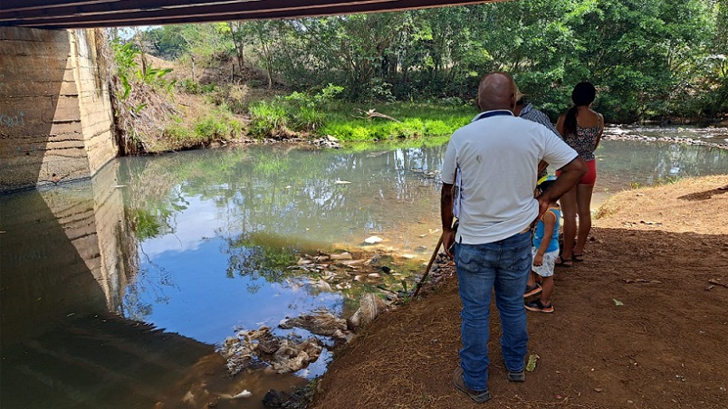 Las vísceras y extremidades de los cerdos se encontraban en bolsas, algunas de las cuales habían sido rasgadas por aves de rapiña.