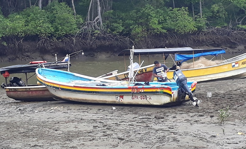 Ante la presencia de estos vientos, se saca principalmente Cherna, un pescado que se utiliza para exportar y no tanto para el consumo local.