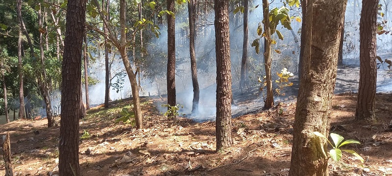 El incendiarismo es un delito y como tal que debe investigarse y sancionarse.