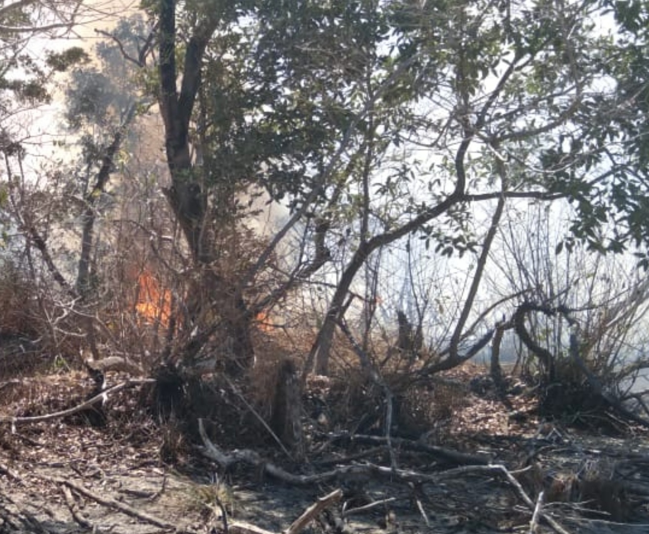 Escena del incendio.