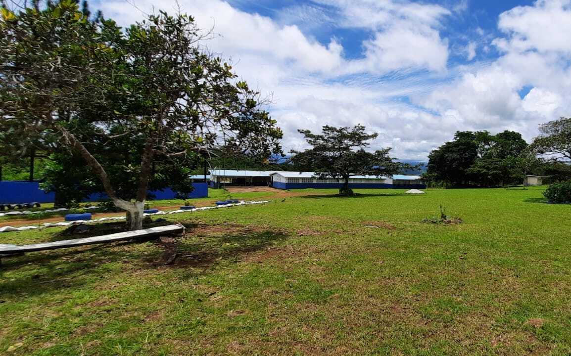 Padres de familia exigen una investigación a las autoridades del Ifarhu.