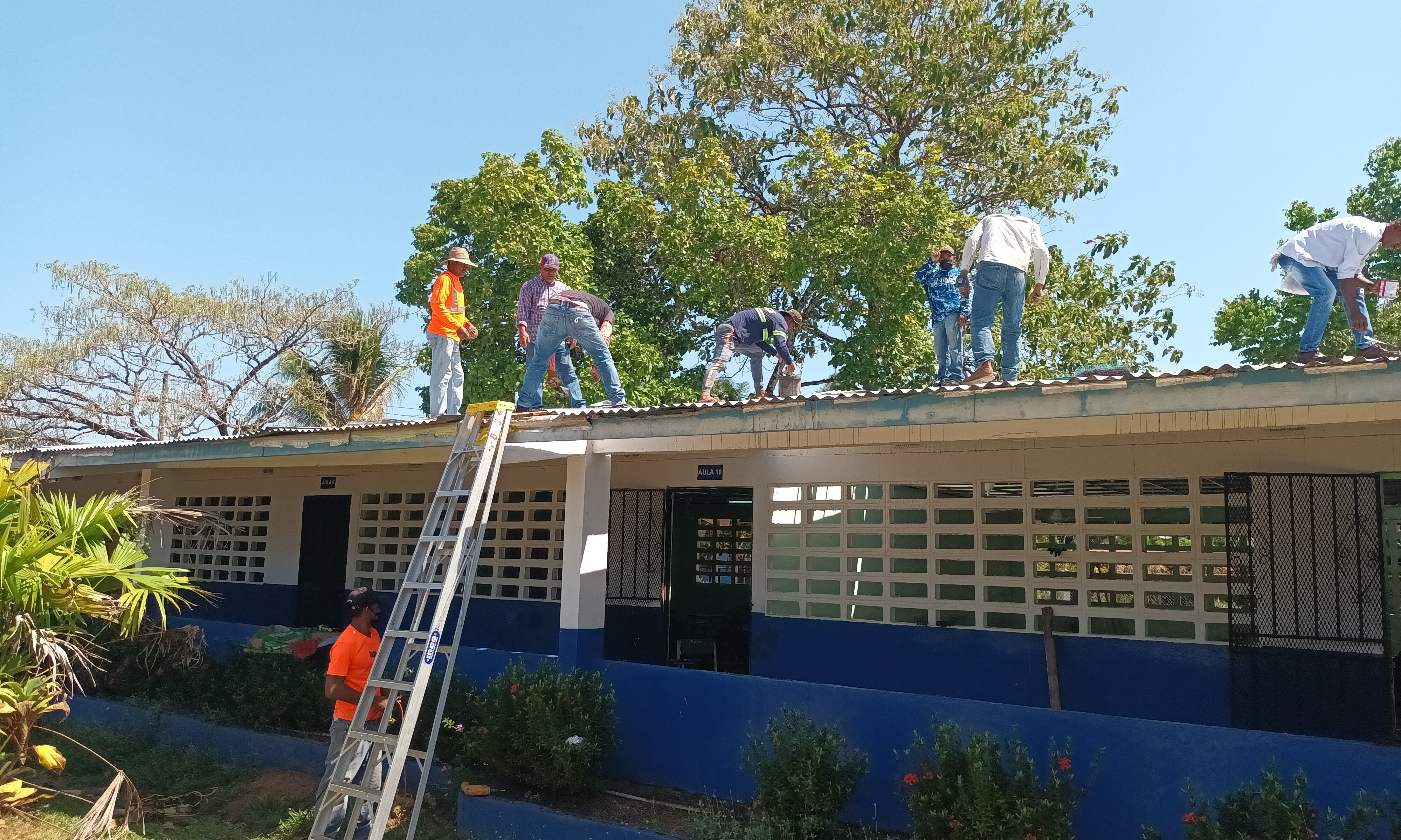 Esta escuela tiene años padeciendo por este problema sanitario.