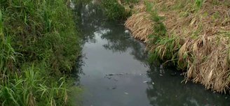 No es la primera vez que ocurre esta situación en este río.