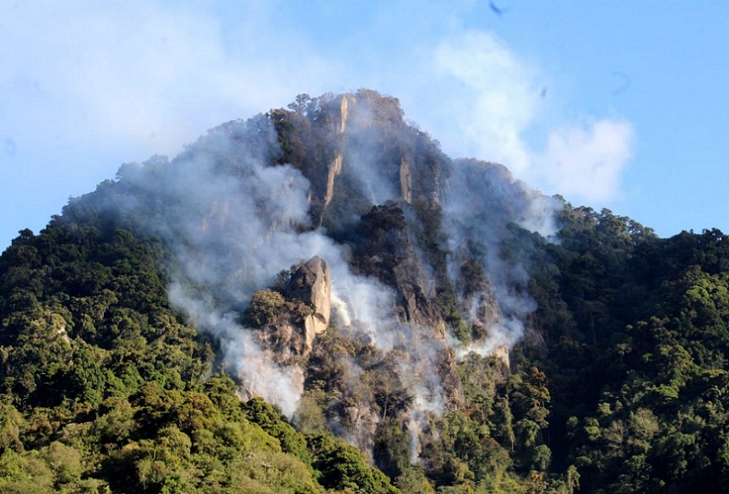 El fuego ingresó a los límites del Parque Internacional La Amistad (PILA), y afectó cinco hectáreas de bosque primario.