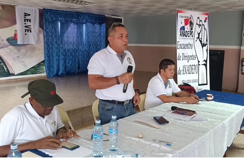 Alianza Nacional por los Derechos de los Pueblos Organizados se reunió en Santiago.