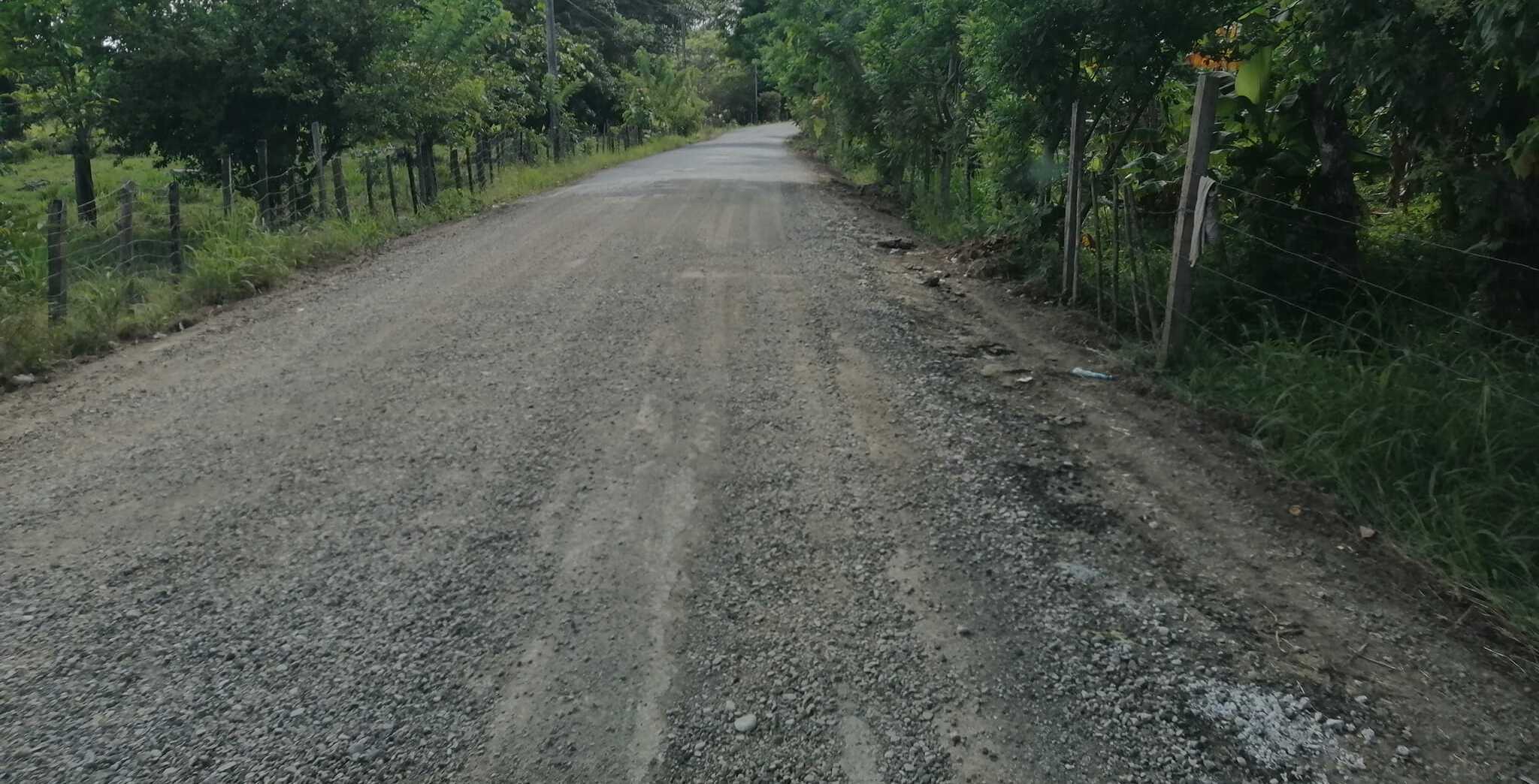 Calles llenas de huecos y sin luminarias.