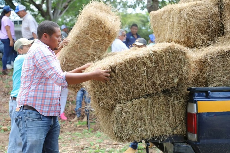 Un total de 30 pequeños productores coclesanos, afectados por la sobrecarga climática, recibieron ayudas de parte del Mida.
