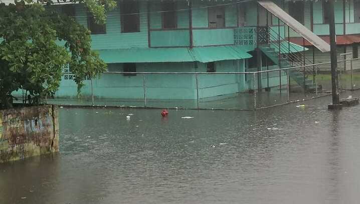 Colón bajo el agua.