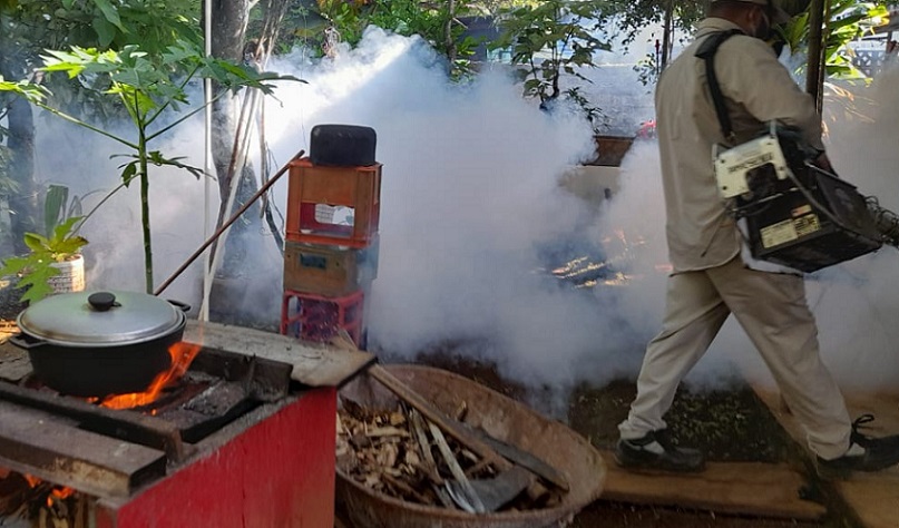 A medida que avanza la temporada lluviosa aumenta el número de posibles criaderos del mosquito transmisor del virus del dengue y de otras enfermedades.