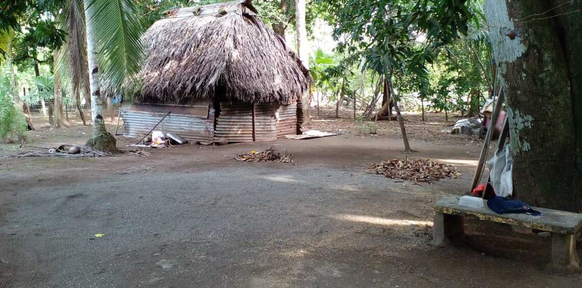Los cultivos y potreros a menos de 30 metros de las viviendas siguen siendo un factor de riesgo principal de hantavirus en la provincia, dijo Hernández.