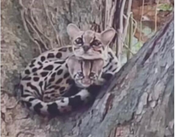 Madre e hijo en buen estado.