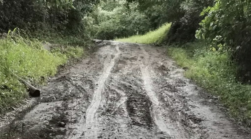 Los caminos están deteriorados, no tienen cunetas.