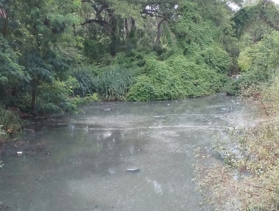 Piden que Mi Ambiente investigue y determine la causa de la contaminación.