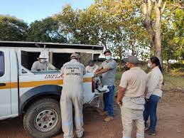 Personal de Control de Vectores en jornada de inspección en casas.