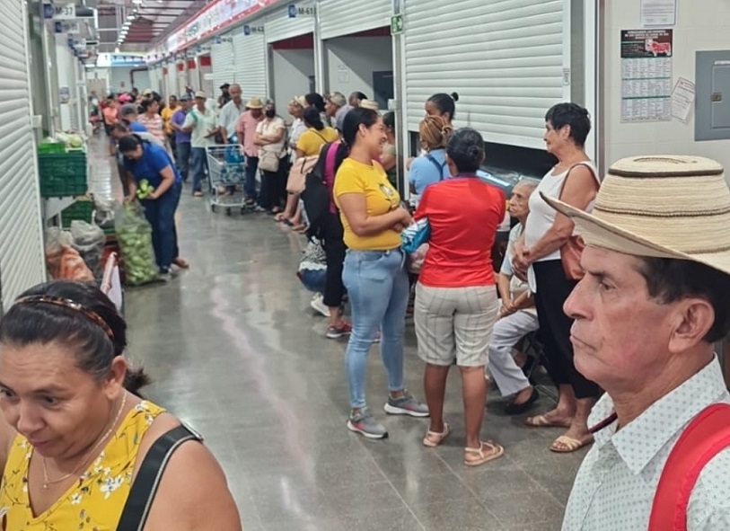 Para lo que queda de esta semana y principios de la próxima, se tiene garantizada la papa, lechuga, tomate, apio, zanahorias entre otros productos. 