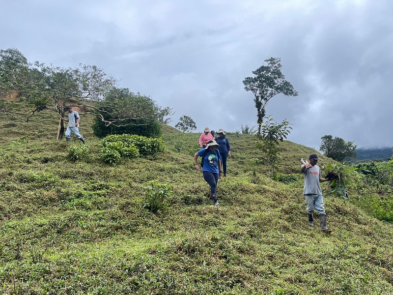 El objetivo de la reforestación es garantizar un suministro de agua constante y de buena calidad.