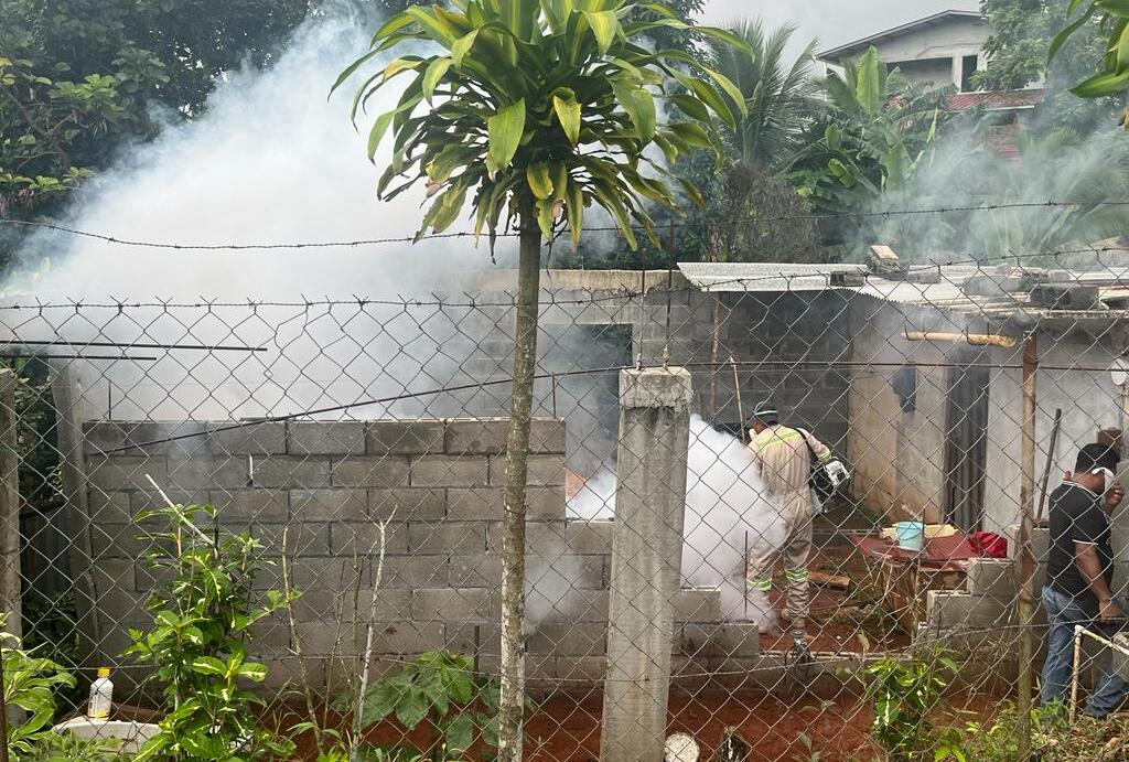 Funcionarios del Minsa realizan jornadas de fumigación.