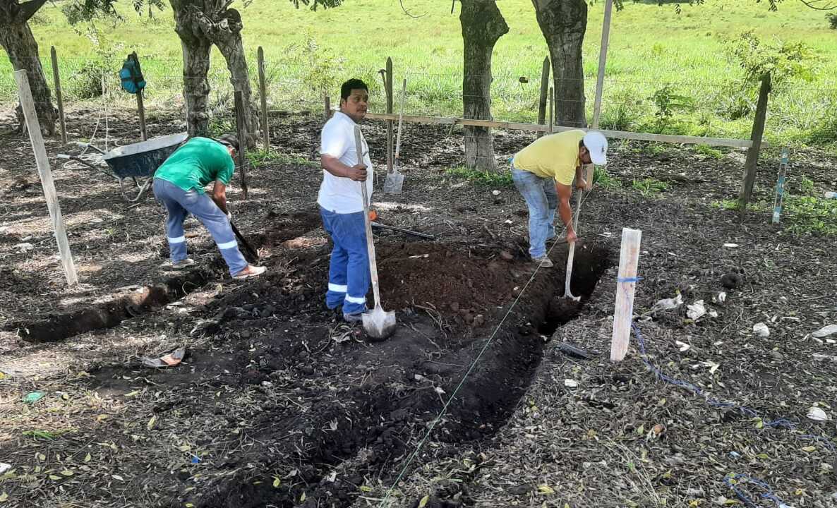 Se espera que la obra sea finalizada el 7 de diciembre.
