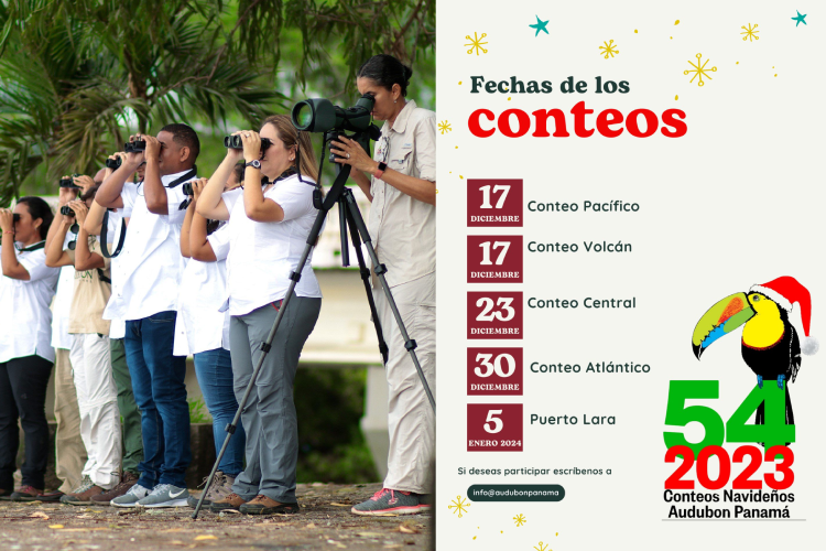 Sociedad Audubon celebra 50 años realizando Conteos Navideños
