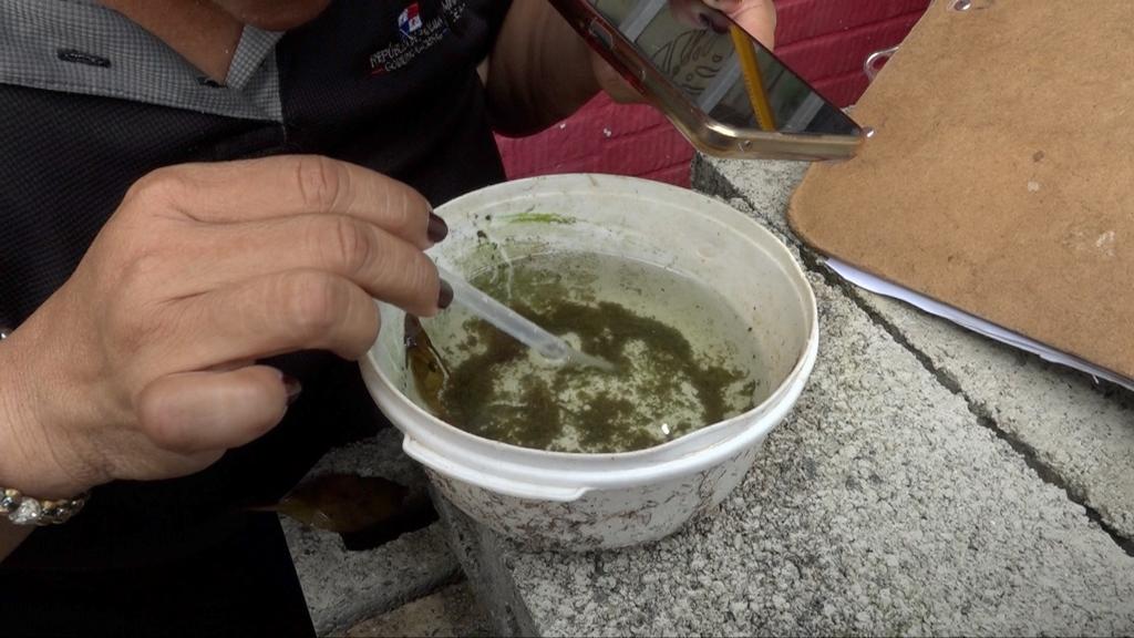 Los casos de dengue siguen aumentando