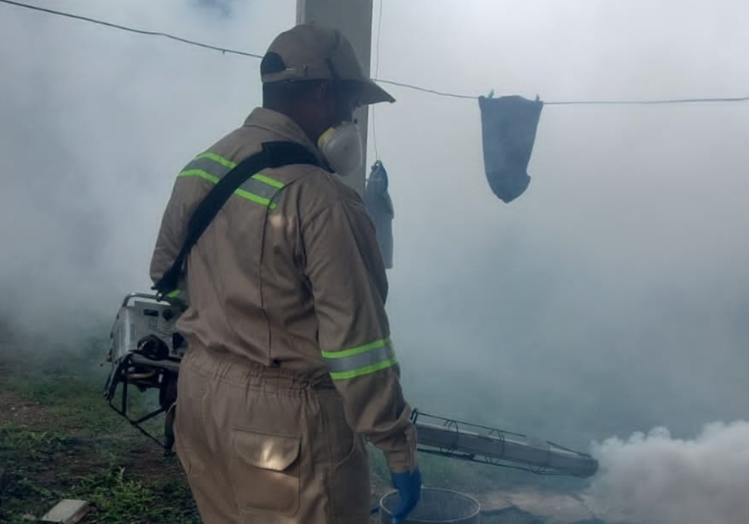 Las comunidades no están eliminando los criaderos del mosquito.