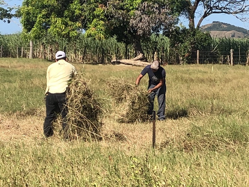 Los ganaderos aseguran que para este año se han venido preparando desde hace meses.