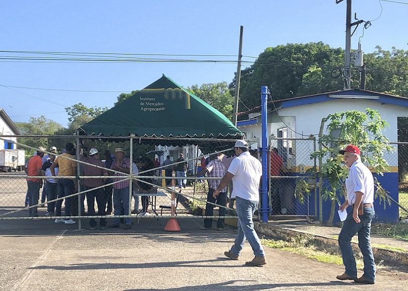  Los productores se reunieron este miércoles y realizaron una jornada de protesta de advertencia.