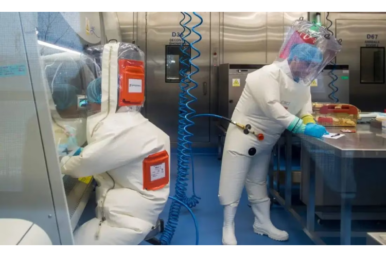 Información: New York Post Daily Mail