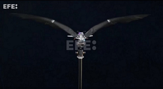 El avión vuela batiendo sus alas como las aves. Captura de video / EFE