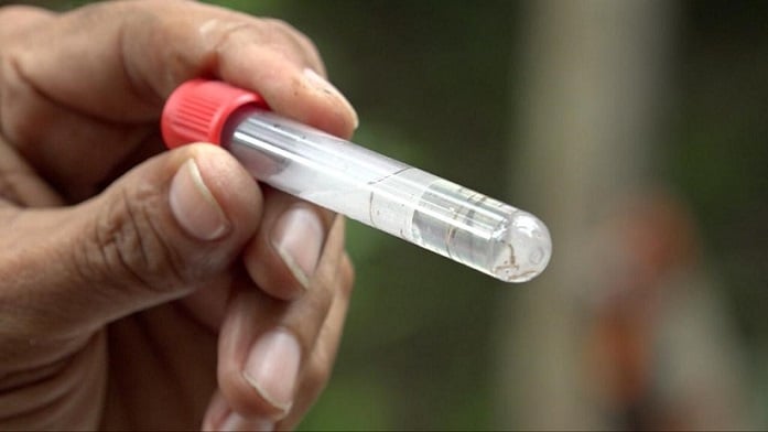 Las autoridades del Minsa reiteran eliminar los criaderos del mosquitos dentro de sus entornos comunitarios.