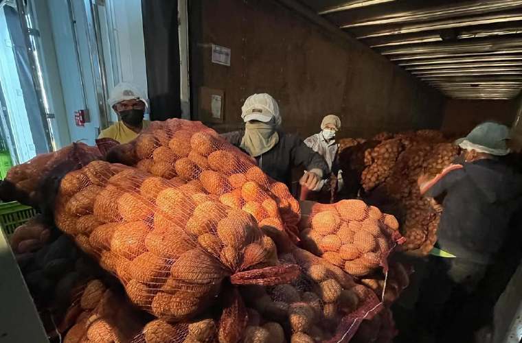 La importación se aprobó debido al el desabastecimiento de papa.