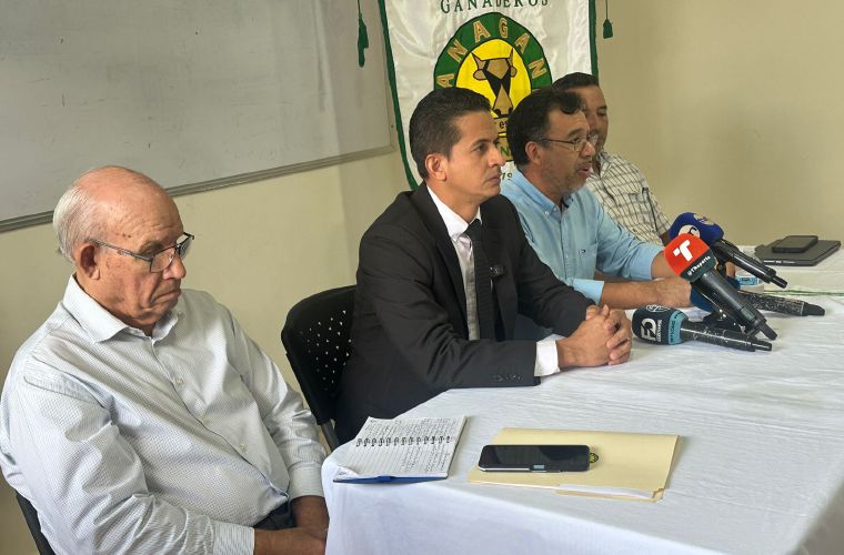 Productores lácteos anuncian la activación de Pro Lácteos de Panamá.