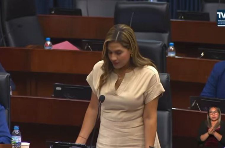 Diputada Alexandra Brenes.