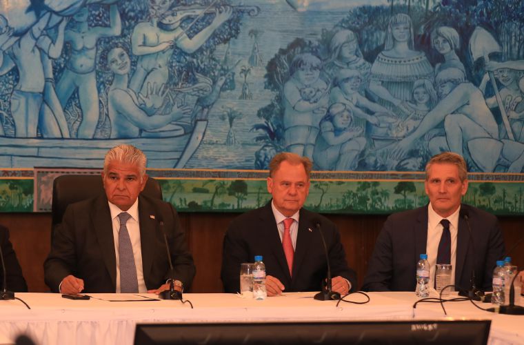 El plan determinará el trazado y ruta específicos del tren, así como los requerimientos de la obra, estableciendo un costo estimado.