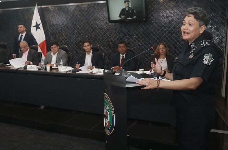 Comisión de Gobierno de la Asamblea Nacioanal de Diputados.