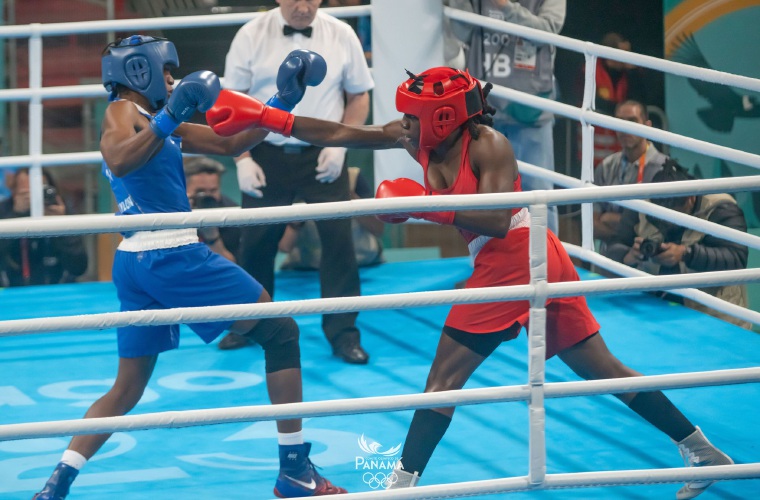 La actividad se realizará el 15 de marzo.