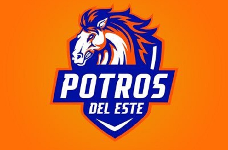 El club no podría jugar en la LPF.