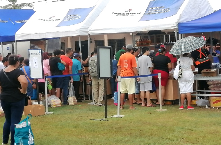 Arranca la naviferia.