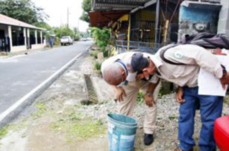 Se han intensificado los operativos para combatir los criaderos de mosquitos.
