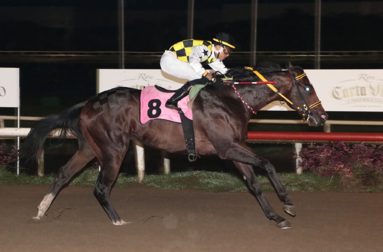 Booz Baruc, ejemplar ganador del Clásico Luis Shirley. 