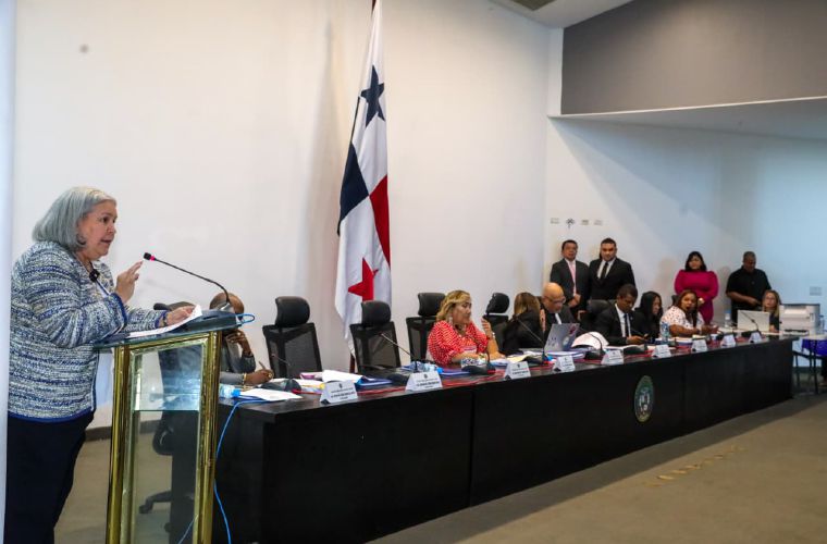 Ministra Beatriz Carles.