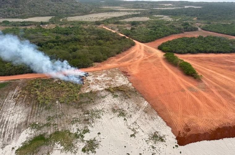 Varias hectáreas de manglares han sido destruidas. 
