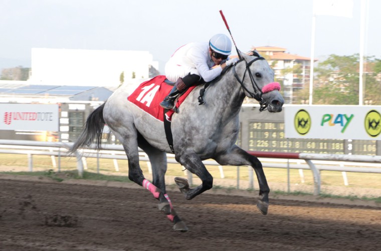 El ejemplar Tomasito en la recta final.
