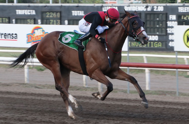 ‘Aradia’ en los metros finales del clásico.
