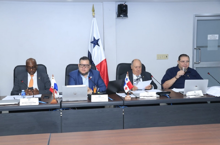 Comisión de Presupuesto de la Asamblea Nacional.